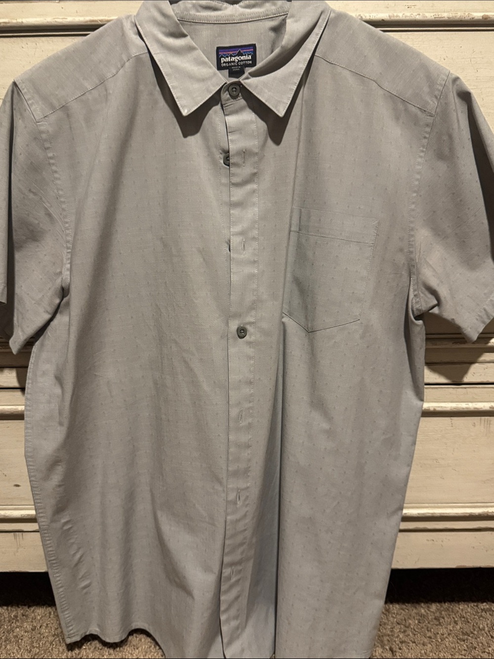 Patagonia Short-Sleeve Button-Up Shirt in Light Gray